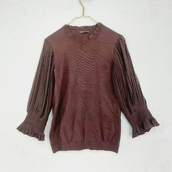 Adrianna Papell Sweaters - Adrianna Papell Knit Sweater Top w/ Sheer Swiss Pleated Sleeves Sweater P5263